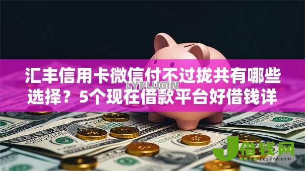 汇丰信用卡微信付不过拢共有哪些选择？5个现在借款平台好借钱详解