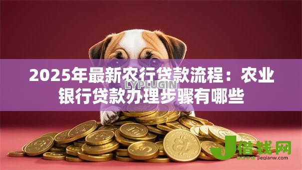 2025年最新农行贷款流程：农业银行贷款办理步骤有哪些