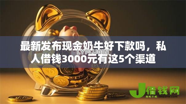 最新发布现金奶牛好下款吗，私人借钱3000元有这5个渠道