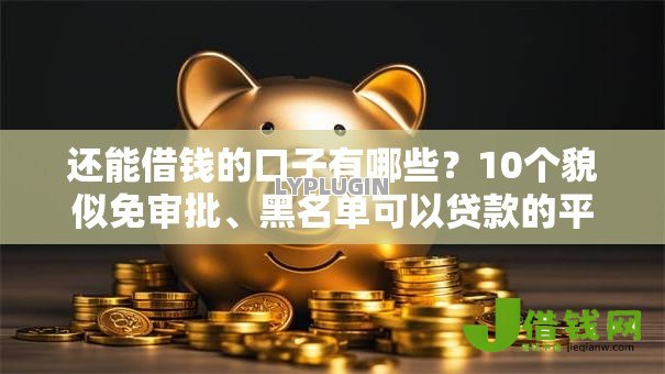 还能借钱的口子有哪些？10个貌似免审批、黑名单可以贷款的平台合集