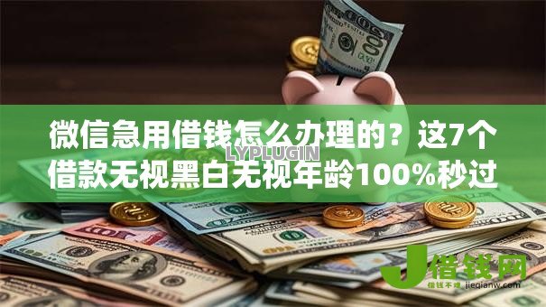 微信急用借钱怎么办理的？这7个借款无视黑白无视年龄100%秒过app值得一试
