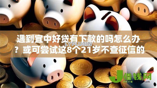 遇到宜中好贷有下款的吗怎么办?或可尝试这8个21岁不查征信的借款平台百分百通过 遇到宜中好贷有下款的吗怎么办?或可尝试这8个21岁不查征信的借款平台百分百通过