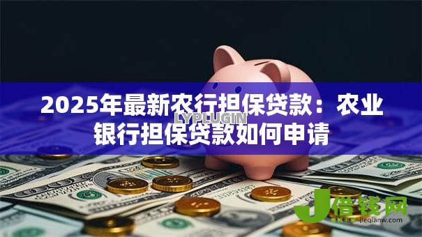 2025年最新农行担保贷款：农业银行担保贷款如何申请