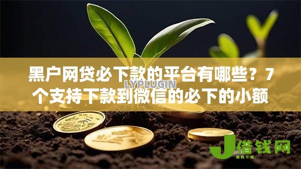 黑户网贷必下款的平台有哪些?7个支持下款到微信的必下的小额贷款app 黑户网贷必下款的平台有哪些?7个支持下款到微信的必下的小额贷款app