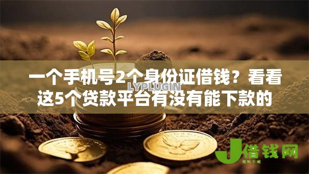 一个手机号2个身份证借钱？看看这5个贷款平台有没有能下款的