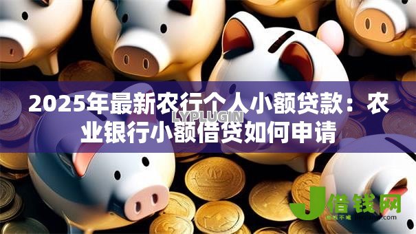 2025年最新农行个人小额贷款:农业银行小额借贷如何申请 2025年最新农行个人小额贷款:农业银行小额借贷如何申请