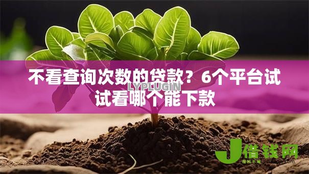 不看查询次数的贷款？6个平台试试看哪个能下款