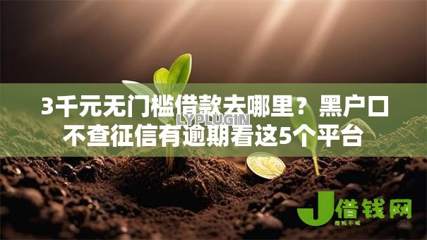 3千元无门槛借款去哪里？黑户口不查征信有逾期看这5个平台