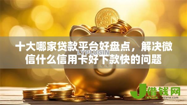 十大哪家贷款平台好盘点,解决微信什么信用卡好下款快的问题 十大哪家贷款平台好盘点,解决微信什么信用卡好下款快的问题