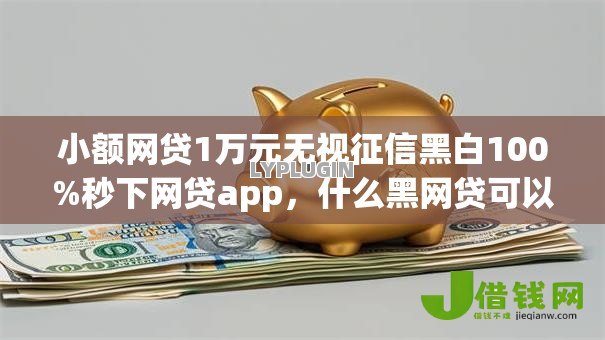 小额网贷1万元无视征信黑白100%秒下网贷app,什么黑网贷可以借到钱的8个平台介绍 小额网贷1万元无视征信黑白100%秒下网贷app,什么黑网贷可以借到钱的8个平台介绍