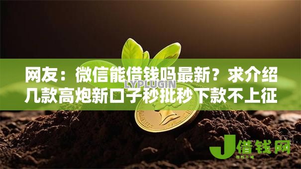 网友:微信能借钱吗最新?求介绍几款高炮新口子秒批秒下款不上征信不用还的 网友:微信能借钱吗最新?求介绍几款高炮新口子秒批秒下款不上征信不用还的