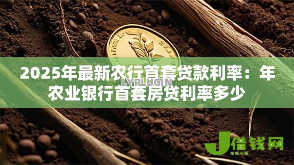 2025年最新农行首套贷款利率：年农业银行首套房贷利率多少