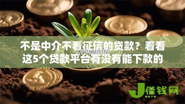 不是中介不看征信的贷款?看看这5个贷款平台有没有能下款的 不是中介不看征信的贷款?看看这5个贷款平台有没有能下款的