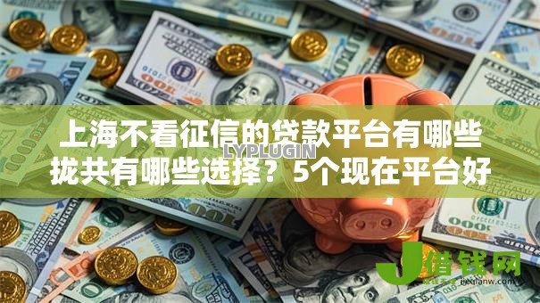 上海不看征信的贷款平台有哪些拢共有哪些选择？5个现在平台好借钱详解