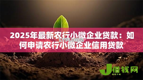 2025年最新农行小微企业贷款:如何申请农行小微企业信用贷款 2025年最新农行小微企业贷款:如何申请农行小微企业信用贷款