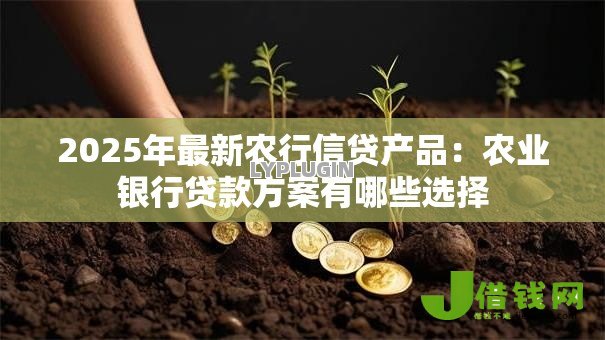 2025年最新农行信贷产品:农业银行贷款方案有哪些选择 2025年最新农行信贷产品:农业银行贷款方案有哪些选择