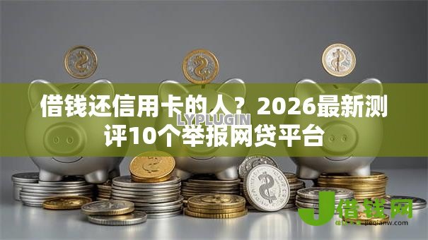 借钱还信用卡的人?2026最新测评10个举报网贷平台 借钱还信用卡的人?2026最新测评10个举报网贷平台