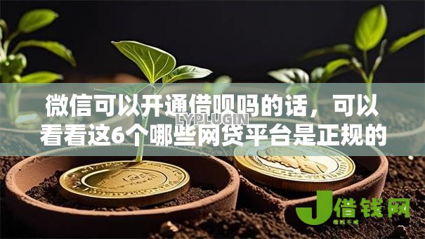 微信可以开通借呗吗的话,可以看看这6个哪些网贷平台是正规的 微信可以开通借呗吗的话,可以看看这6个哪些网贷平台是正规的