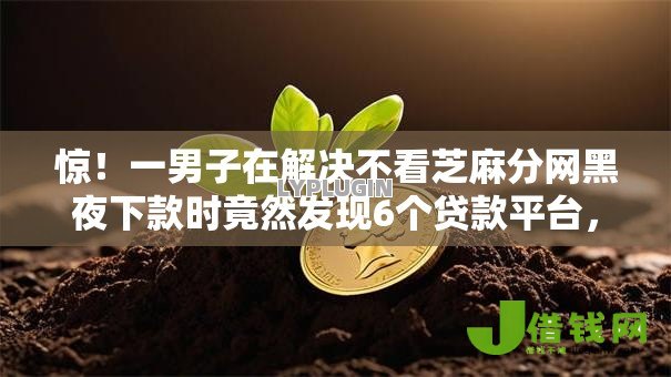 惊!一男子在解决不看芝麻分网黑夜下款时竟然发现6个贷款平台,事后分享了出来 惊!一男子在解决不看芝麻分网黑夜下款时竟然发现6个贷款平台,事后分享了出来