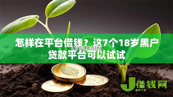 怎样在平台借钱?这7个18岁黑户贷款平台可以试试 怎样在平台借钱?这7个18岁黑户贷款平台可以试试