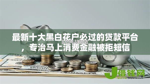 最新十大黑白花户必过的贷款平台，专治马上消费金融被拒短信