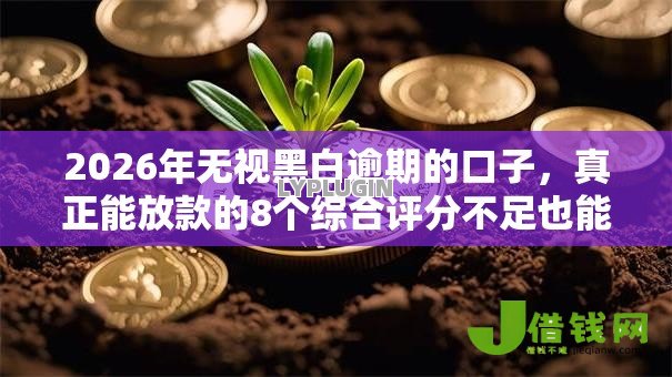 2026年无视黑白逾期的口子，真正能放款的8个综合评分不足也能放款的平台推荐