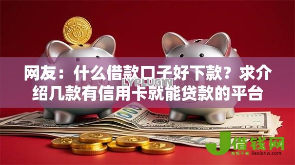 网友：什么借款口子好下款？求介绍几款有信用卡就能贷款的平台