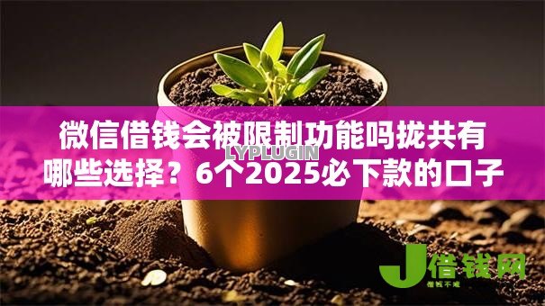 微信借钱会被限制功能吗拢共有哪些选择？6个2025必下款的口子详解