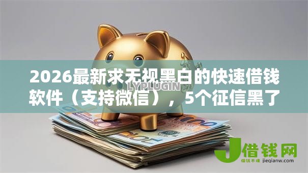 2026最新求无视黑白的快速借钱软件（支持微信），5个征信黑了还能借钱的平台无私分享