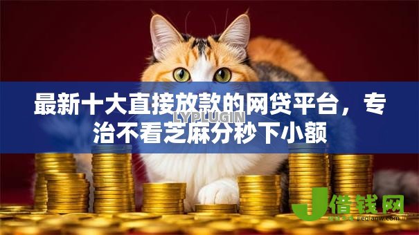 最新十大直接放款的网贷平台,专治不看芝麻分秒下小额 最新十大直接放款的网贷平台,专治不看芝麻分秒下小额