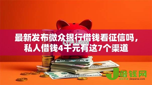 最新发布微众银行借钱看征信吗，私人借钱4千元有这7个渠道