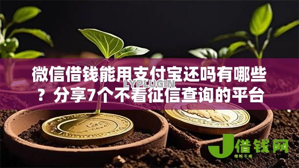 微信借钱能用支付宝还吗有哪些?分享7个不看征信查询的平台 微信借钱能用支付宝还吗有哪些?分享7个不看征信查询的平台
