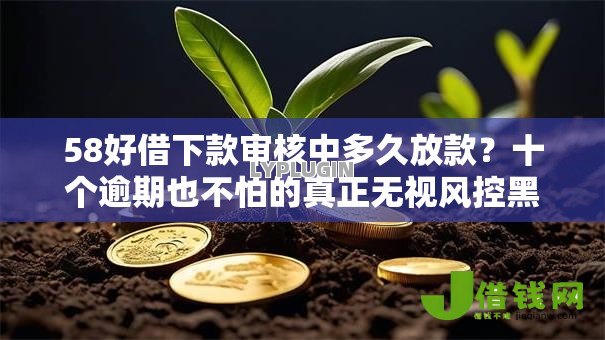 58好借下款审核中多久放款？十个逾期也不怕的真正无视风控黑白的网贷软件