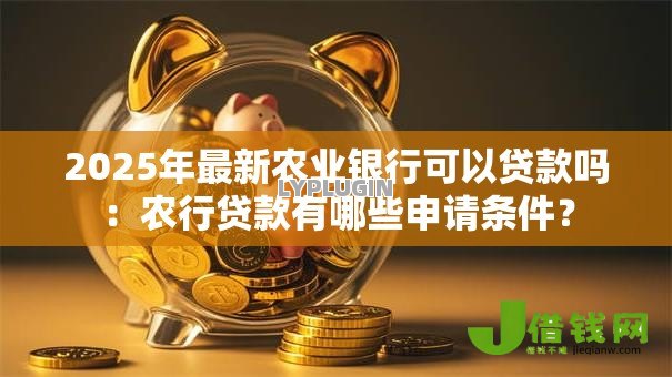 2025年最新农业银行可以贷款吗：农行贷款有哪些申请条件？
