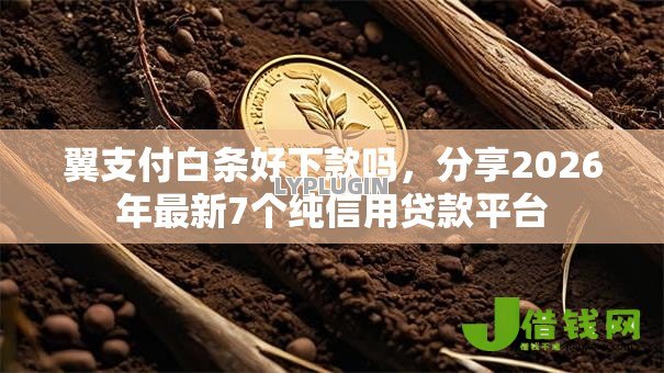 翼支付白条好下款吗,分享2026年最新7个纯信用贷款平台 翼支付白条好下款吗,分享2026年最新7个纯信用贷款平台