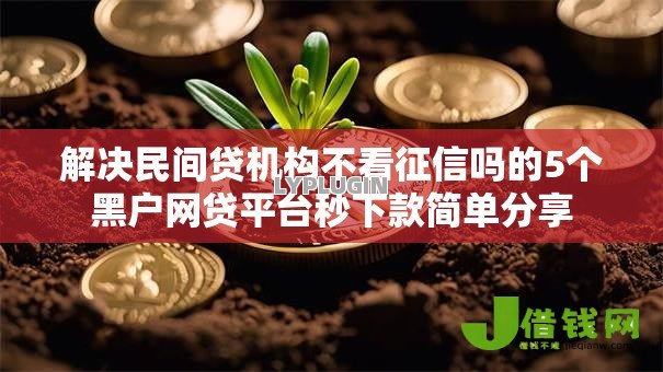 解决民间贷机构不看征信吗的5个黑户网贷平台秒下款简单分享 解决民间贷机构不看征信吗的5个黑户网贷平台秒下款简单分享