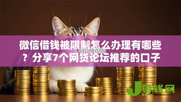 微信借钱被限制怎么办理有哪些?分享7个网贷论坛推荐的口子 微信借钱被限制怎么办理有哪些?分享7个网贷论坛推荐的口子