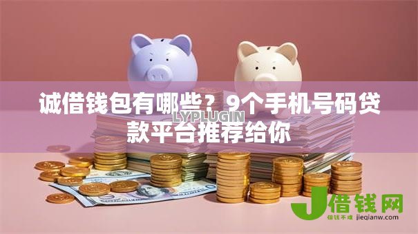 诚借钱包有哪些？9个手机号码贷款平台推荐给你