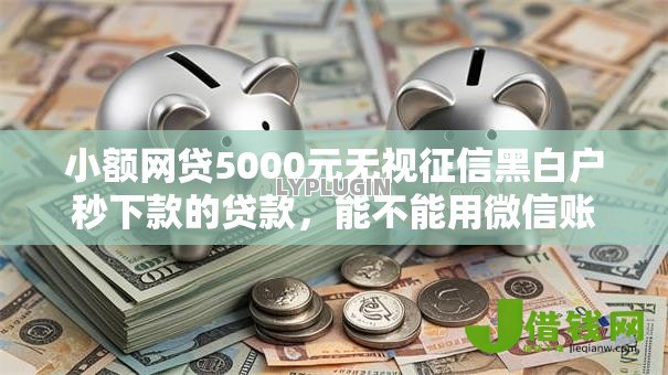小额网贷5000元无视征信黑白户秒下款的贷款，能不能用微信账单借钱的6个平台介绍