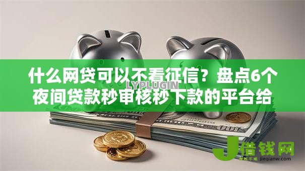 什么网贷可以不看征信?盘点6个夜间贷款秒审核秒下款的平台给你参考 什么网贷可以不看征信?盘点6个夜间贷款秒审核秒下款的平台给你参考