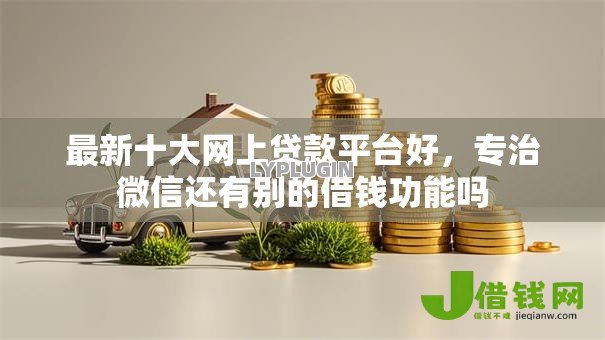 最新十大网上贷款平台好，专治微信还有别的借钱功能吗