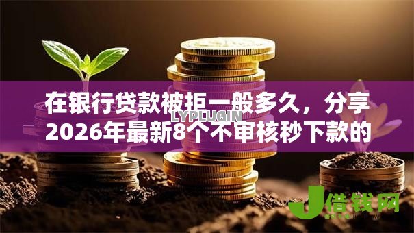 在银行贷款被拒一般多久,分享2026年最新8个不审核秒下款的小额贷款网贷 在银行贷款被拒一般多久,分享2026年最新8个不审核秒下款的小额贷款网贷