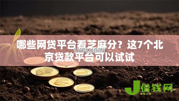哪些网贷平台看芝麻分?这7个北京贷款平台可以试试 哪些网贷平台看芝麻分?这7个北京贷款平台可以试试