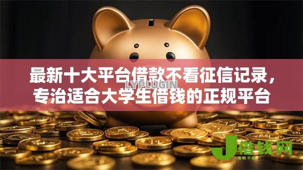 最新十大平台借款不看征信记录，专治适合大学生借钱的正规平台小额一千