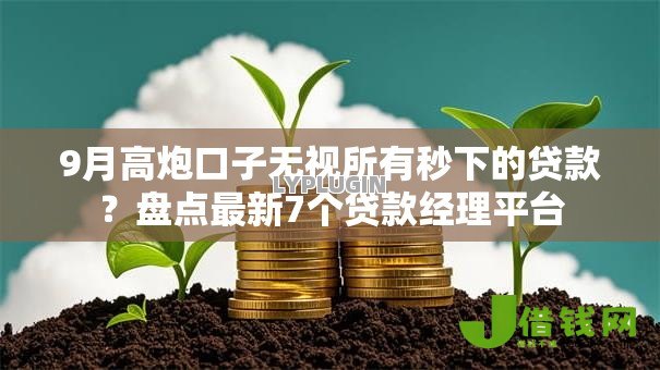 9月高炮口子无视所有秒下的贷款？盘点最新7个贷款经理平台