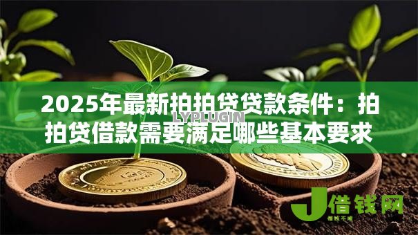 2025年最新拍拍贷贷款条件:拍拍贷借款需要满足哪些基本要求 2025年最新拍拍贷贷款条件:拍拍贷借款需要满足哪些基本要求