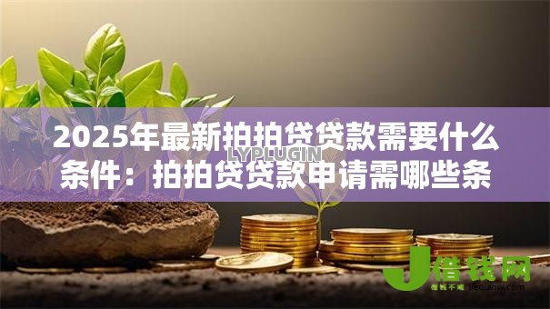 2025年最新拍拍贷贷款需要什么条件：拍拍贷贷款申请需哪些条件