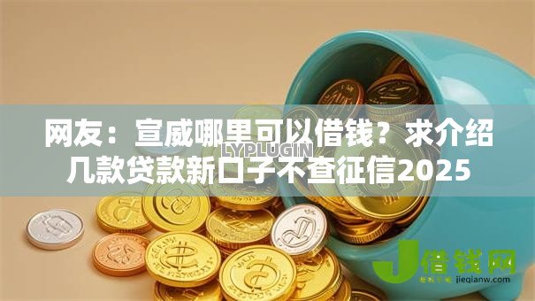 网友：宣威哪里可以借钱？求介绍几款贷款新口子不查征信2025