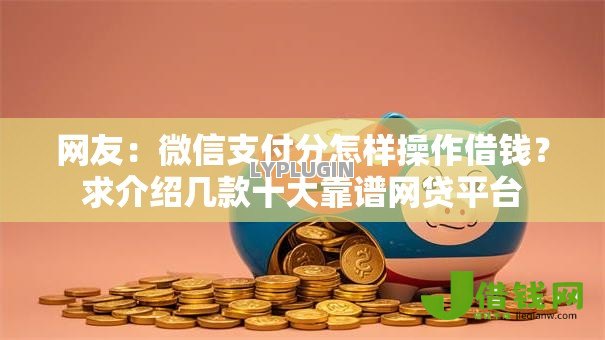 网友：微信支付分怎样操作借钱？求介绍几款十大靠谱网贷平台