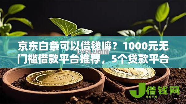 京东白条可以借钱嘛？1000元无门槛借款平台推荐，5个贷款平台可靠的盘点